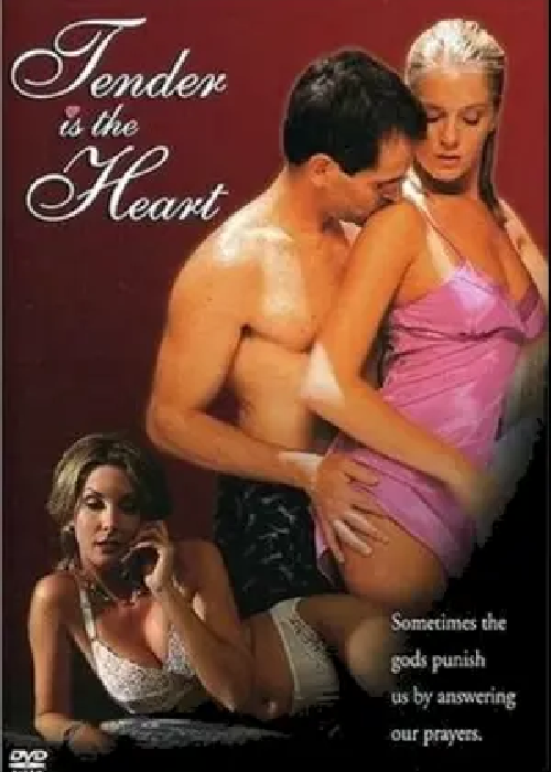 IPTV Adulte Premium Streaming France